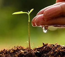 Fertilization treatment