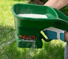 Fertilizing lawn