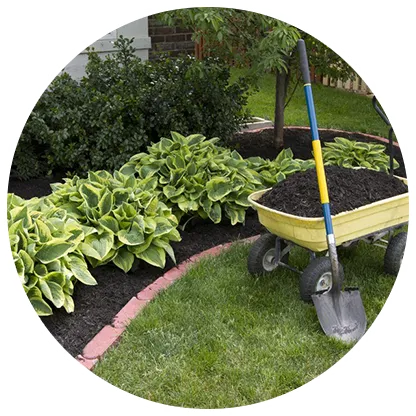 Mulching services